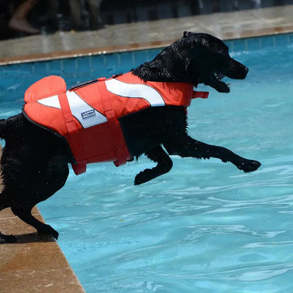 ```Stylish Dog Life Jackets```