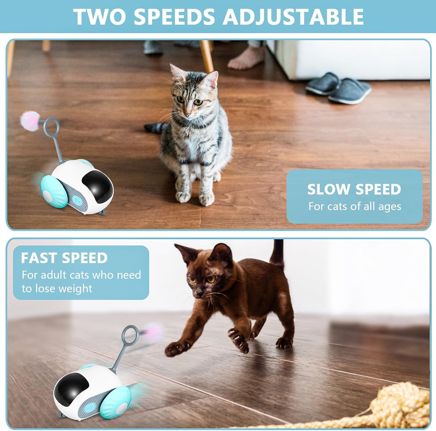 Remote Control Smart Electric Cat Toy Car, Interactive Cat Toys for Indoor Cats, Teazys Cat Toy Turbo Tail 2.0, Automatic Moving Mouse Cat Chase Toys for Bored Indoor Adult Cats Kittens