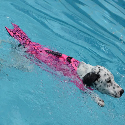 ```Stylish Dog Life Jackets```