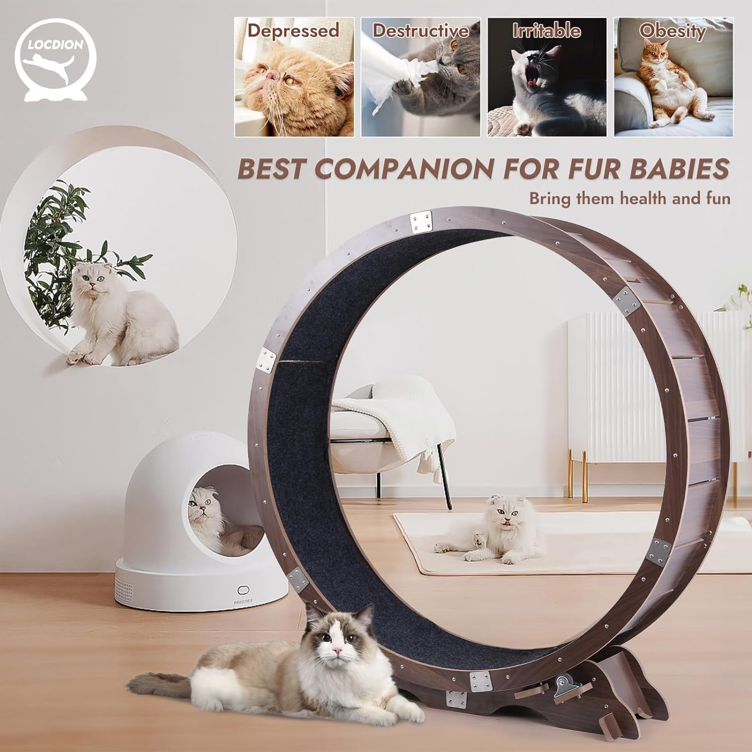 Cat Wheel Exerciser for Indoor Cats,Cat Exercise Wheel with Upgraded Pre-Assembled Design,Large Cat Treadmill for Running,Spinning,Scratching,And Climbing,Big Toy for Cats(Black Walnut)