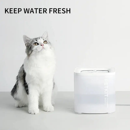 PETKIT Eversweet Solo SE, New Wireless Pump Dog Cat Water Fountain, Quiet and Anti-Dry Pet Water Fountain with Wireless Pump for Indoor Cats/Dogs-1.8L