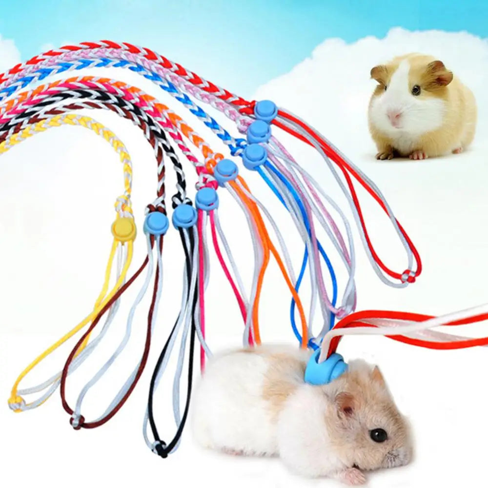 Small Pet Leash 1.4/2m for Hamsters, Guinea Pigs, Rabbits & More