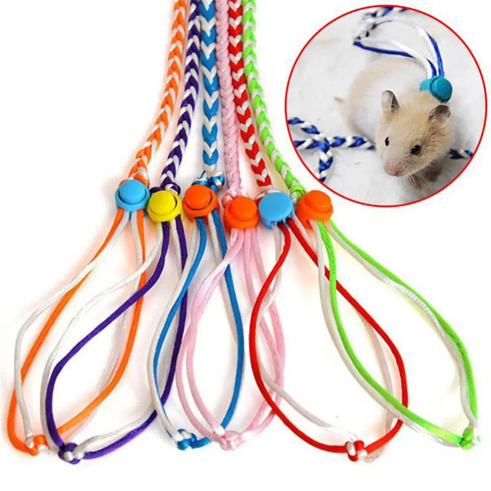 Small Pet Leash 1.4/2m for Hamsters, Guinea Pigs, Rabbits & More