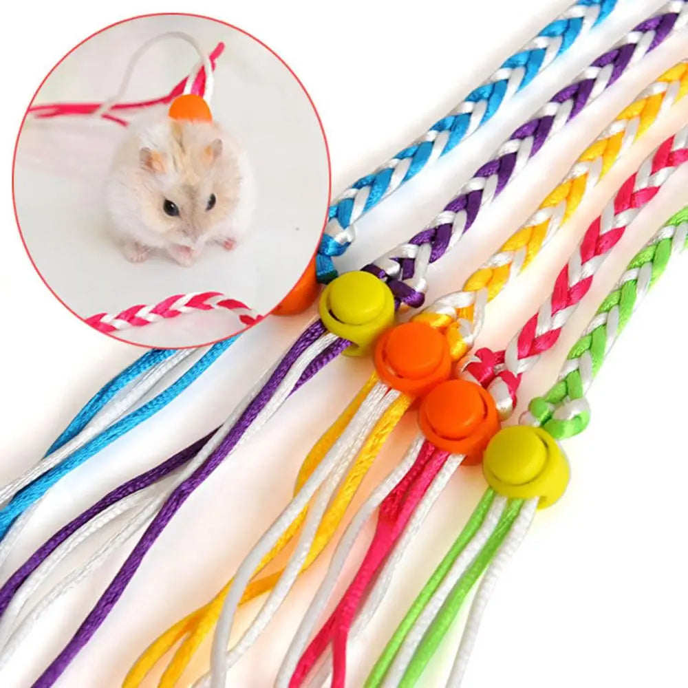 Small Pet Leash 1.4/2m for Hamsters, Guinea Pigs, Rabbits & More