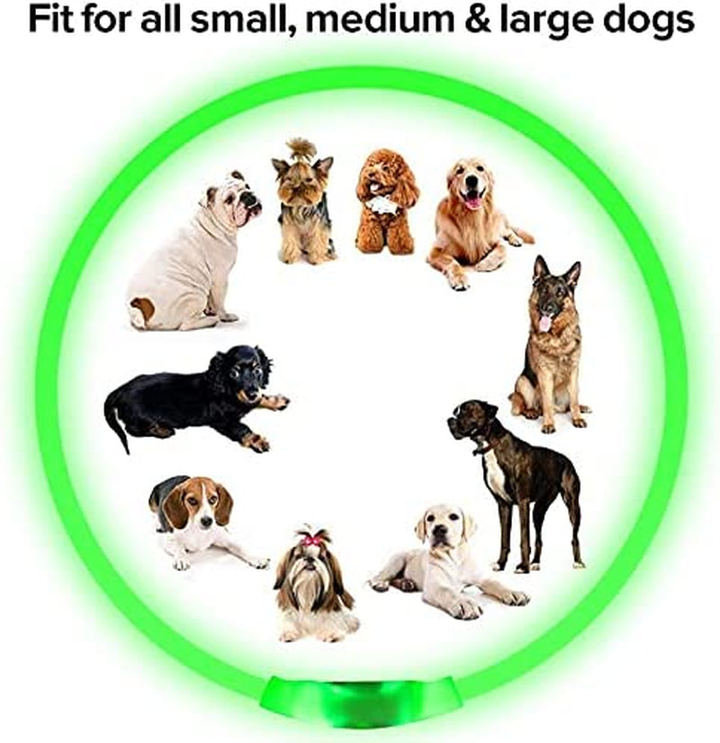 Led Dog Collar,  USB Rechargeable Flash Dog Necklace Light, Pet Safety Collar Makes Your Beloved Dogs Be Seen at Night for Small Medium Large Dogs