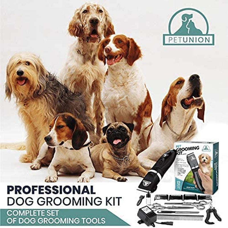 Professional Dog Grooming Kit - Cordless Low Noise Dog Clippers for Grooming Thick Coats - All Pet Safe Cat Hair Trimmer - Pet Grooming Kit Includes Dog Hair Clippers, Nail Trimmer & Shears