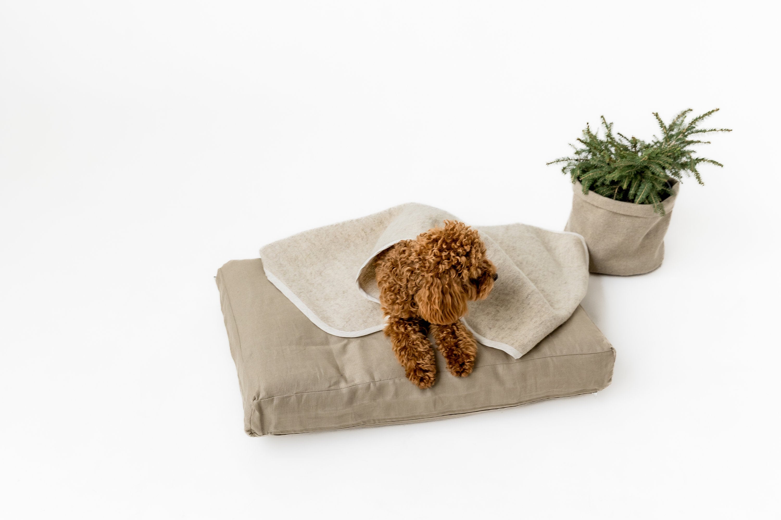 Natural Hemp Wool Dog Blanket - Personalized Pet Bed Mat Cover